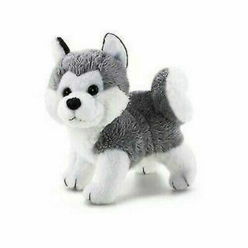 Collezione dolci husky trudi - dolci,