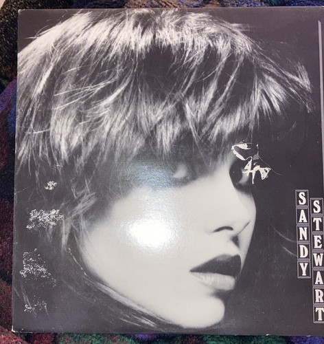 Sandy stewart cat - sandy,