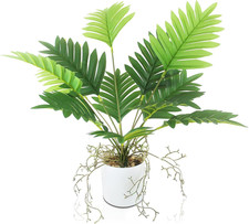 Piante Finte Interno Esterno