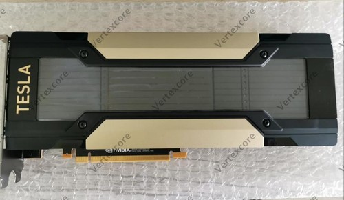 Scheda grafica acceleratore