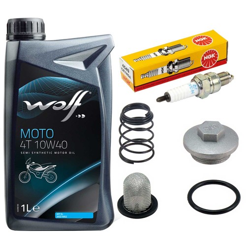 Kit ispezione olio vite - olio,