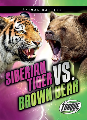 Siberian tiger brown bear - tiger,