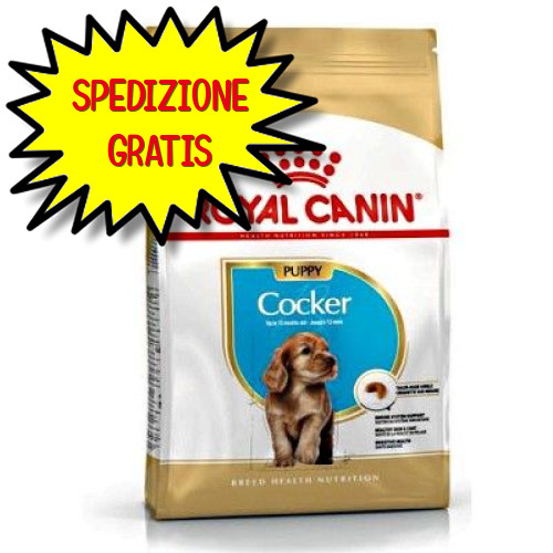 Royal canin cane cocker junior - canin,