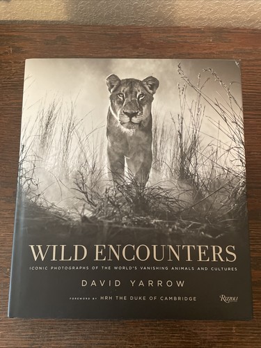 Wild encounters david - wild, by