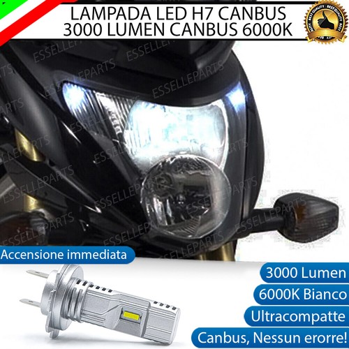 Lampada led canbus - led, per