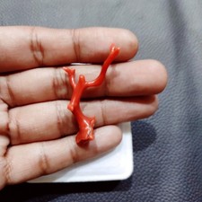 Ramo di corallo rosso italiano