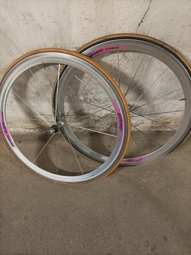 Cerchioni bici usati - cerchioni,