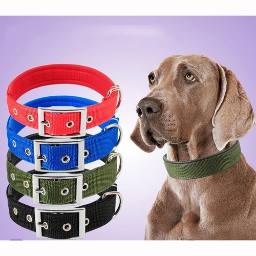 Collari per cani solidi - , in