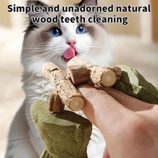 Fix Your Cat’s Dental