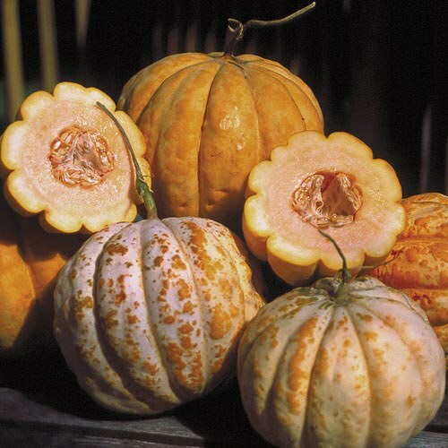Melone zucchero arancia ananas - zucchero,