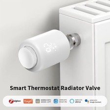 1PZ Termostato Intelligente