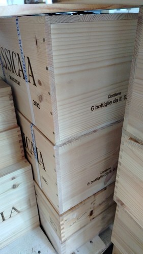 Sassicaia 2022 tenuta san - sassicaia,