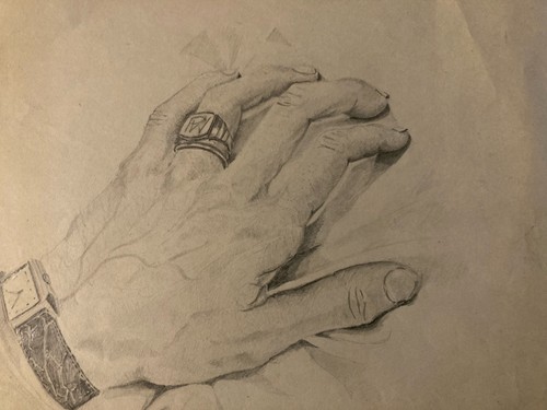 Bella disegno curiosa anatomia - bella,