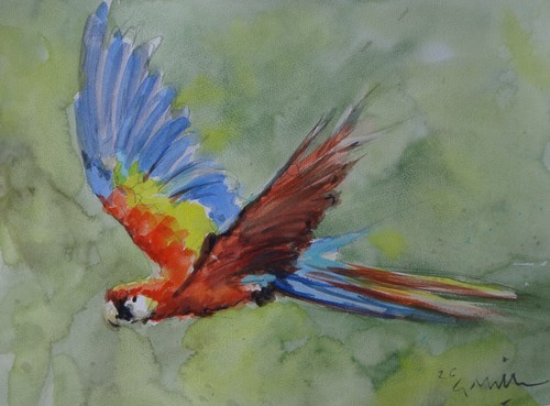 Gerry miller acquerello - miller.,