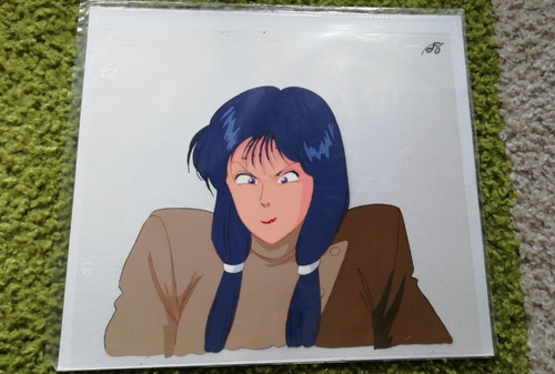 City hunter tsukasa hojo anime - tsukasa,