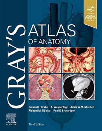 Gray atlas anatomy - of,