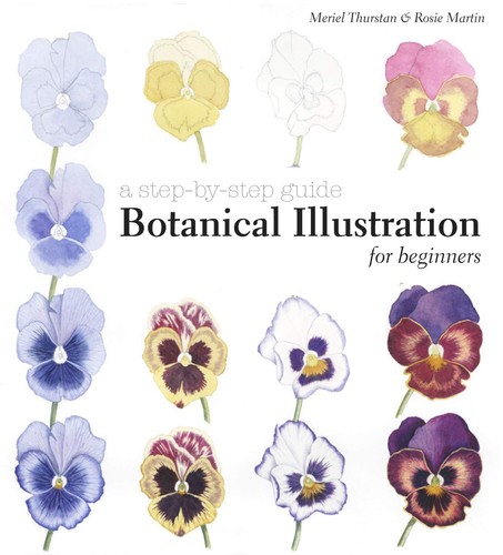 Botanical illustration for - botanical,