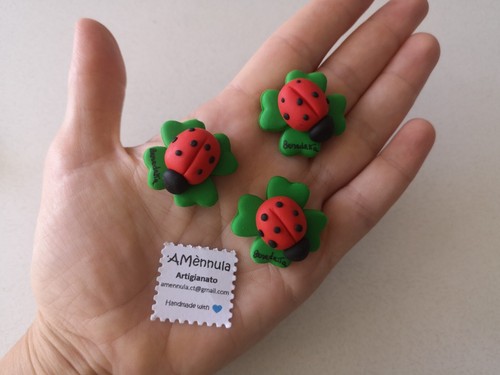 Calamita coccinella - calamita,