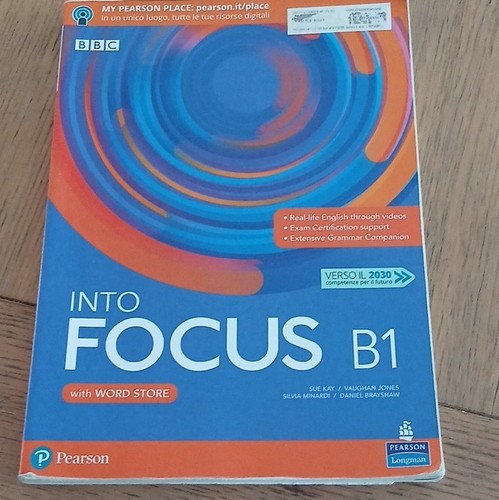 Pearson longman into focus - longman,