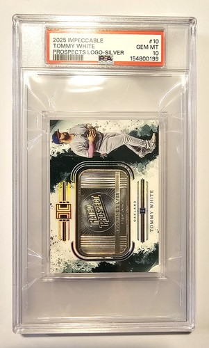 2025 panini impeccabile - panini,