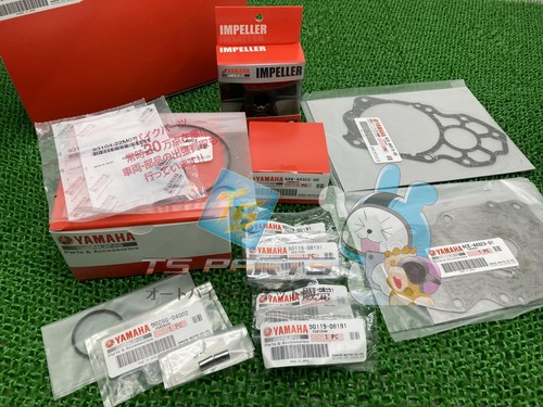 Kit riparazione pompa acqua