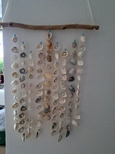 Acchiappasogni Di Conchiglie Vere Di Mare..,..