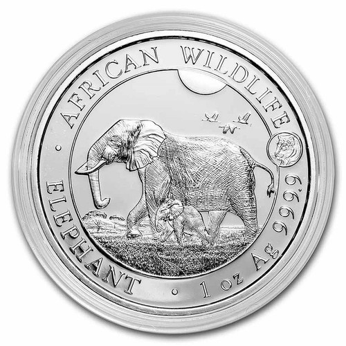 Somalia elefant privy tiger - somalia,
