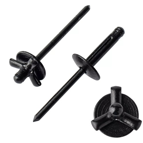 50pz 1 grande testa - 50pz,