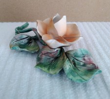 Ramo fiore e foglie  in