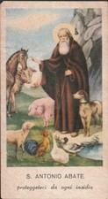 Santino Sant'Antonio Abate -