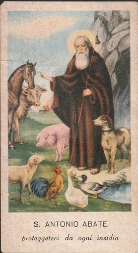 Santino sant antonio abate - santino,