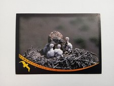 FIGURINA ANIMAL CHAMPIONS