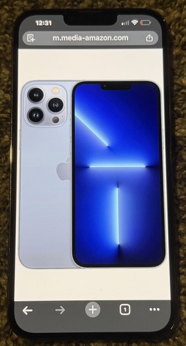 Apple iphone pro max - 13,