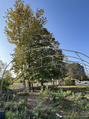 Serra tunnel agricolo - /,
