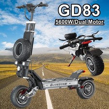 1000W~5600W Adult Electric