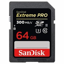 Scheda di memoria SDXC 64 GB
