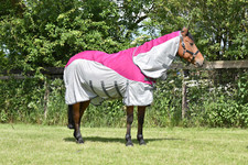 Tappeto a mosca a cavallo 2 in