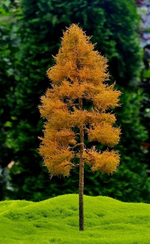 Albero modello h0 - modello,