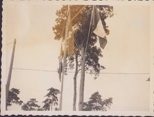 1959 TRIESTE / OPICINA / SCOUT