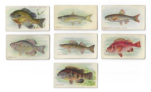 Carte tabacco piemontese - carte,