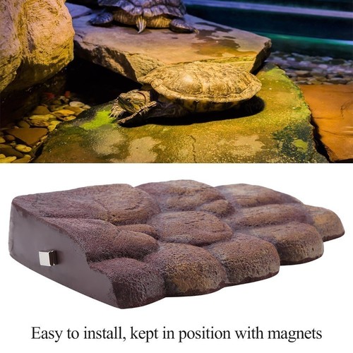 Reptile floating basking - reptile,
