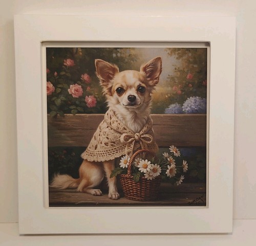 Chihuahua cane con fiori - , x
