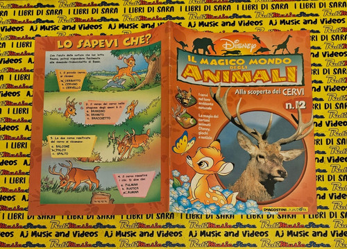 Book libro magico mondo - il,