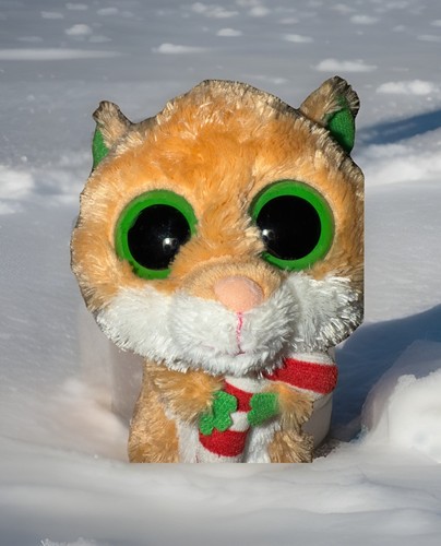 The beanie boo collection - ty,