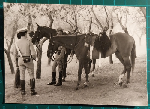 Foto carabinieri cavallo - foto,
