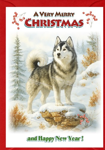 Alaskan malamute dog christmas - malamute,