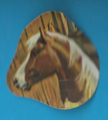 Figurina panini big - figurina, album