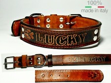 OFFERTA COLLARE PER CANE