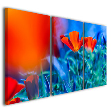Quadri moderni Poppis fiori