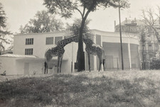 1956 Frankfort Zoo Germania